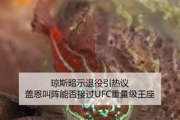 琼斯暗示退役引热议 盖恩叫阵能否接过UFC重量级王座